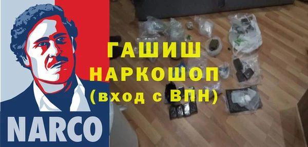 гашик Алексин