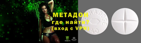 гашик Алексин