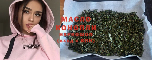 гашик Алексин
