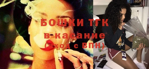 гашик Алексин